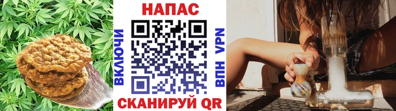 кракен ССЫЛКА что такое Нерюнгри Печенье с ТГК конопля