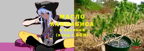 дживик Армянск
