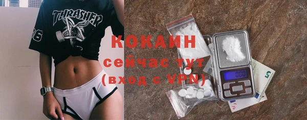стаф Балахна