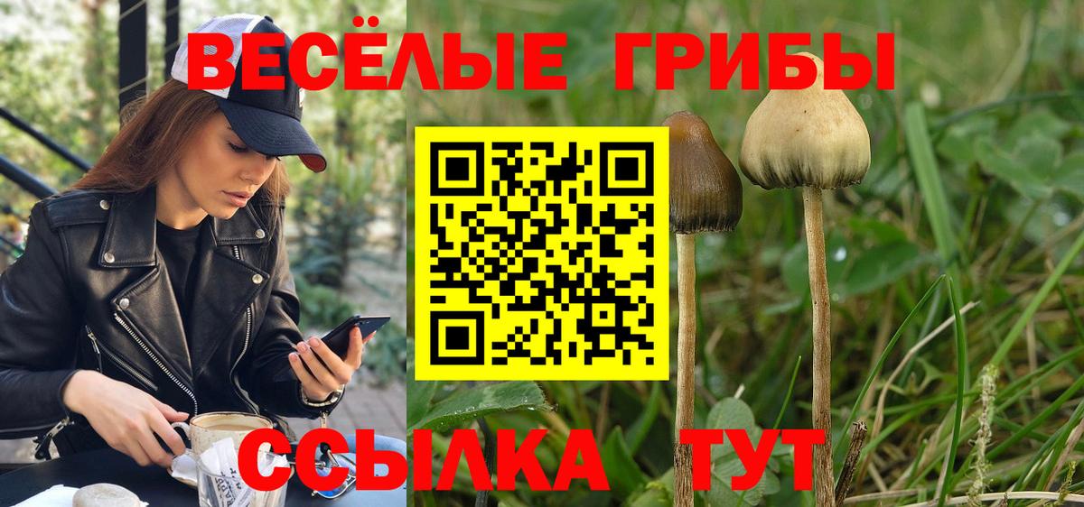 Галлюциногенные грибы мицелий  Вход с VPN  Псилоцибиновые грибы Psilocybine cubensis  Нерюнгри 