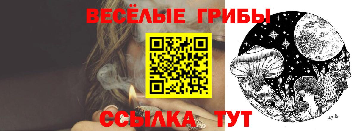 Псилоцибиновые грибы MAGIC MUSHROOMS Нерюнгри