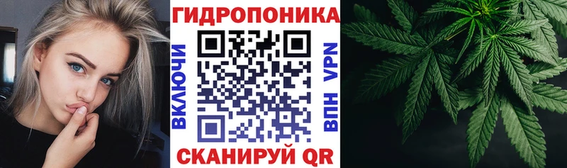 МАРИХУАНА конопля Нерюнгри